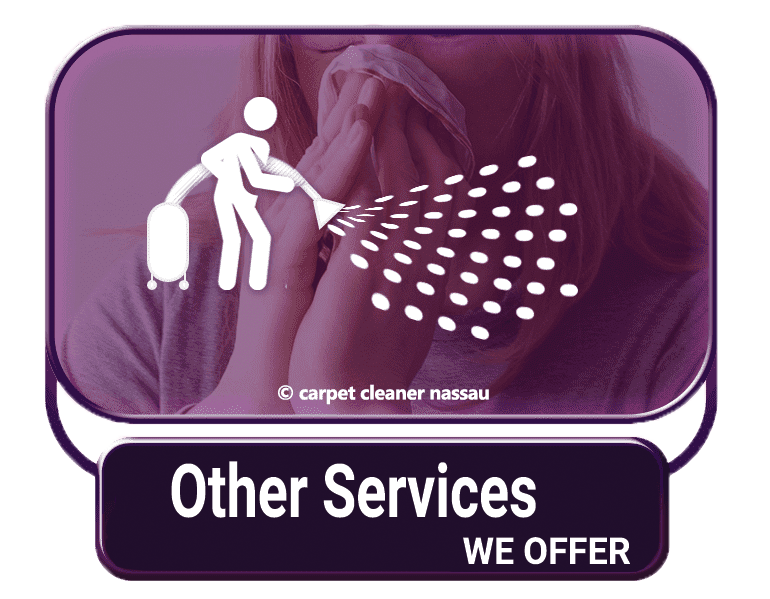 Allergy Control Treatment Allergy Control Treatment