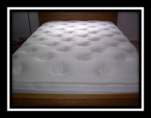 Area Rug Restoration