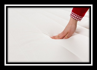 Area Rug Restoration