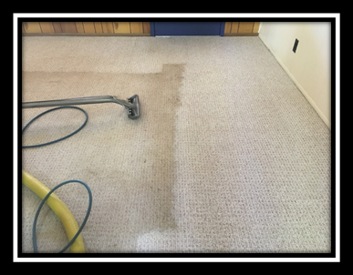 Area Rug Restoration