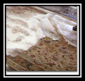 Area Rug Restoration
