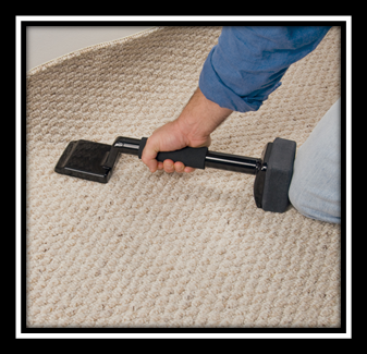 Area Rug Restoration