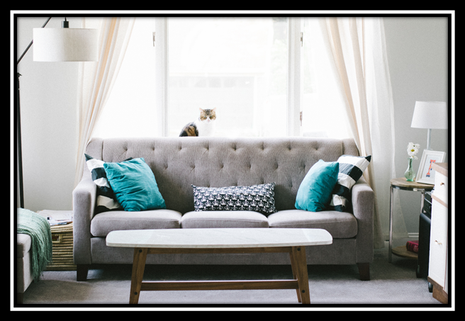 Area Rug Restoration