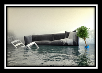 Area Rug Restoration